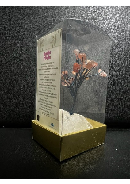 Sertifikalı Taş Akik Taşı Dekoratif El Yapımı Ağaç