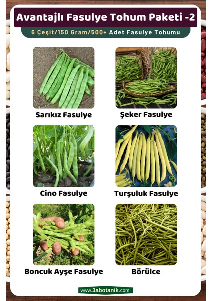 Avantajlı Fasulye Tohum Paketi-2, Toplam 6 ÇEŞIT/150 Gram/takribi 500 Adet Fasulye Tohumu