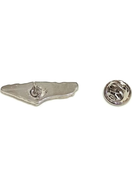 Filistin Haritası Tasarımlı Renkli Gümüş Renk Metal 1 Adet Yaka Rozeti fırsatları