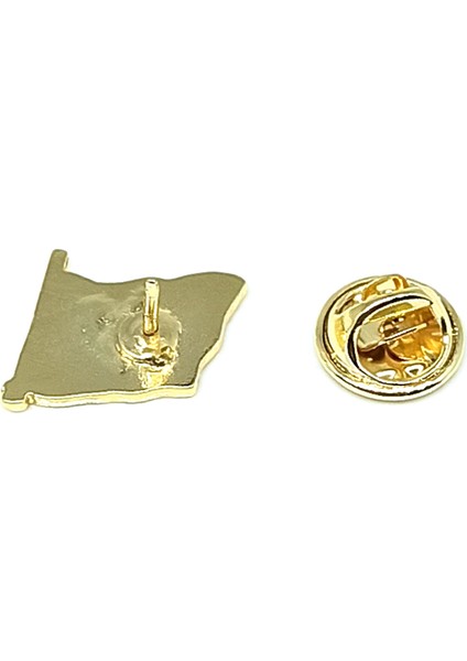 Renkli Filistin Bayrağı Tasarımlı Gold Renk Metal Yaka Rozeti 1 Paket 6'lı fırsatları