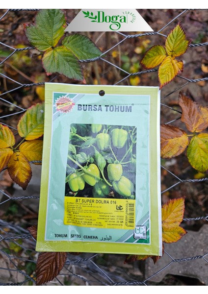 Süper Dolmalık Biber Tohumu