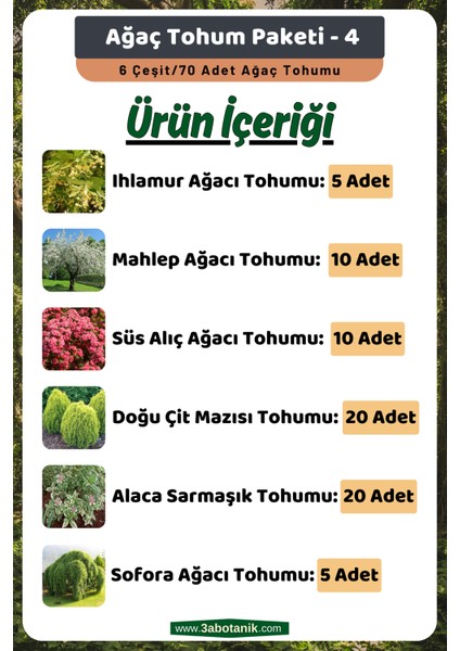 Ağaç Tohum Paketi-4, (Ihlamur, Mahlep, Süs Alıç, Çit Mazısı, Alaca Sarmaşık, Sofora) Ağaç Tohumları