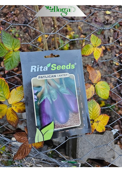 Kurutmalık Dolmalık Antep Patlıcan Tohumu