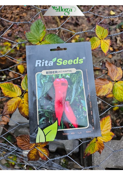 Acı Kırmızı Kapya Biber Tohumu