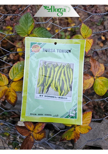 Sürmeli Biber Tohumu