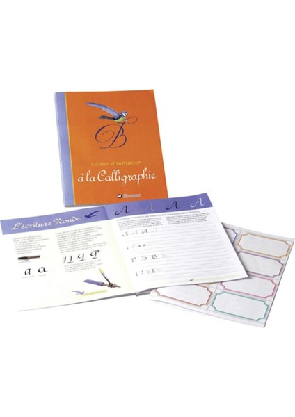 Calligrahy : Notebook Junior : A5
