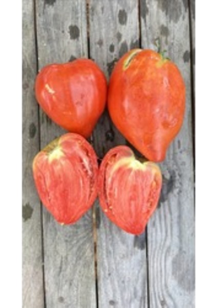 Kalp Domates Tohumu (10 Adet) (Sırık)