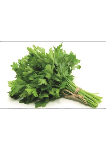 Maydanoz Tohumu (1 Çay Kaşığı)