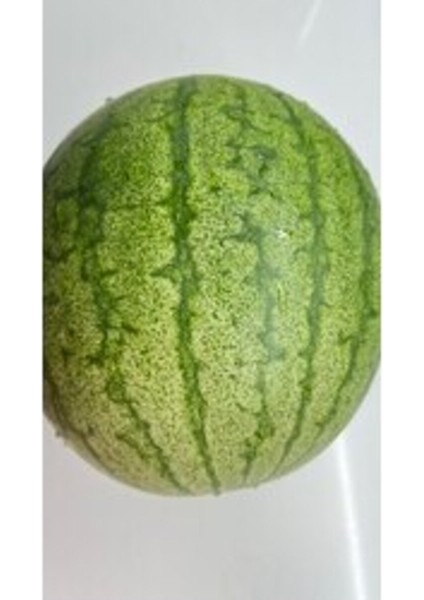 Karpuz Tohumu -1 (10 Adet)