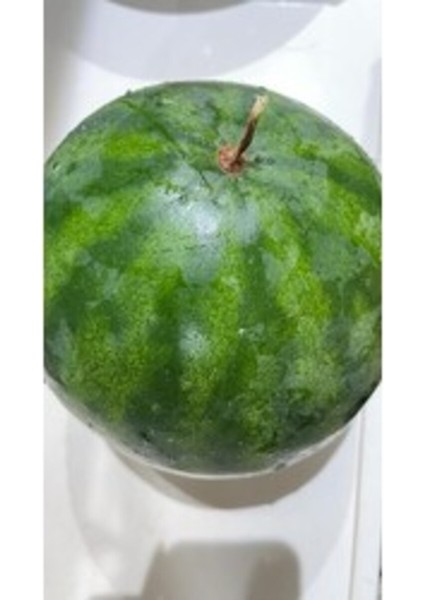 Karpuz Tohumu -5 (10 Adet) fiyatları