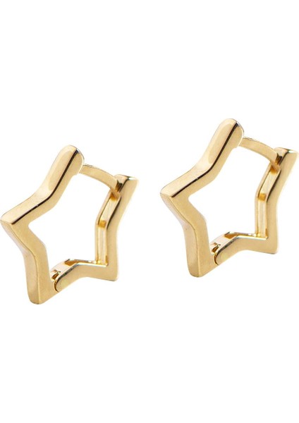 14 Ayar Yıldız Parlak Halka Altın Küpe 1,34 gr indirimleri