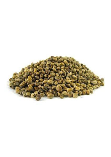 Kuşlar Için Kenevir Tohumu Cedene 1000 gr