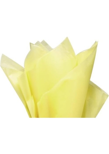 Roco Paper Pelur Kağıt - Krem 17 Gr/m. 50*70 cm - 25'li Paket modelleri