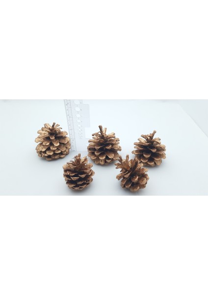 Yılbaşı, Yeni Yıl Noel Ağacı Süsleme Için Dekoratif Boyalı Kozalak Model 12
