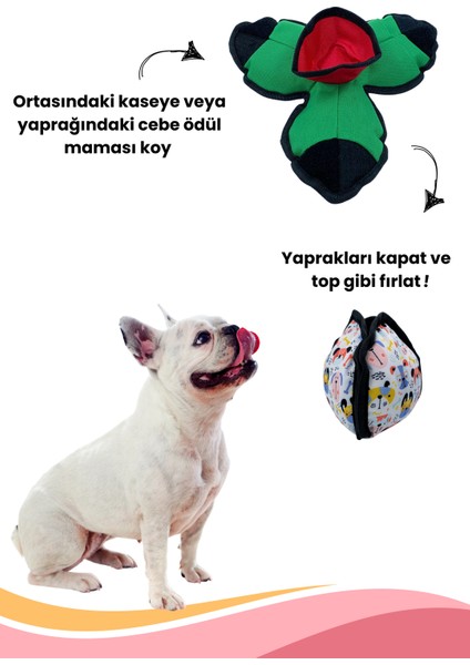 Lotus Köpek Mama Saklama Topu Köpek Için  Koklama Topu Stres Giderici Bulmaca Oyuncağı