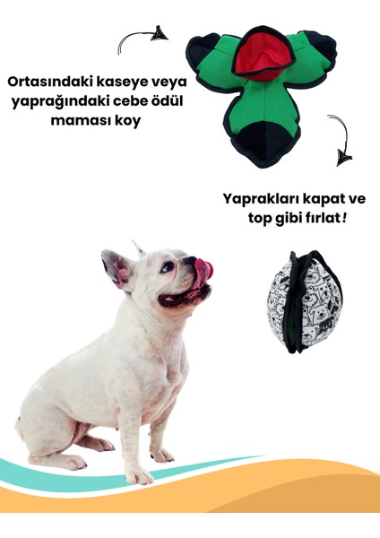 Lotus Köpek Mama Saklama Topu Köpek Için  Koklama Topu Stres Giderici Bulmaca Oyuncağı