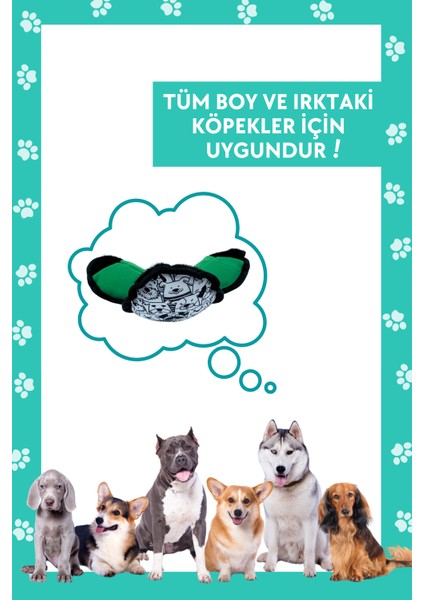 Lotus Köpek Mama Saklama Topu Köpek Için  Koklama Topu Stres Giderici Bulmaca Oyuncağı