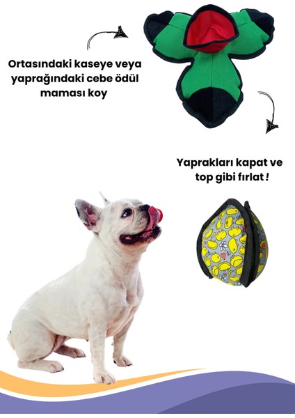 Havhav Lotus Interaktif Köpek Oyun Topu, Mama Saklamalı Köpek Oyuncağı