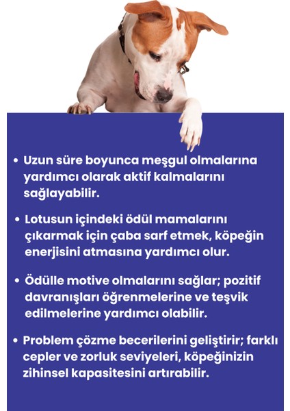 Havhav Lotus Interaktif Köpek Oyun Topu, Mama Saklamalı Köpek Oyuncağı