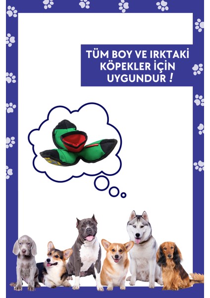 Havhav Lotus Interaktif Köpek Oyun Topu, Mama Saklamalı Köpek Oyuncağı