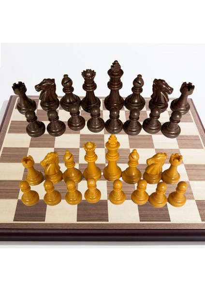 Satranç Taşları Stili Ess Set Katlanır Satranç Taşları Hiçbir Satranç Tahtası Zeka Gelişimi Satranç Taşları Ebeveyn Çocuk Etkileşimi Oyuncak Ev Için (Yurt Dışından) fırsatları