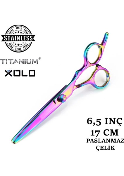 Rainbow Saç Berber Kuaför Makası Düz Uçlu 6.5 Inç Saç Kesim Makası Hair Style XLQ501A