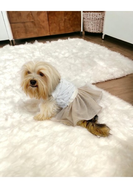 Sun Cream Duo Tütülü Köpek Elbisesi Kıyafeti Tutu