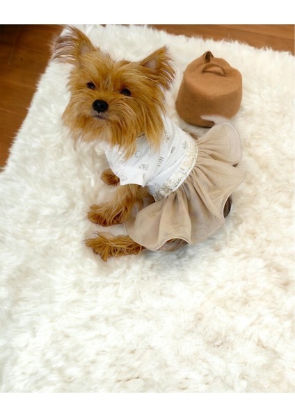 Sun Cream Duo Tütülü Köpek Elbisesi Kıyafeti Tutu fiyatları