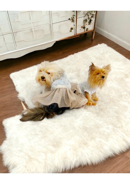 Sun Cream Duo Tütülü Köpek Elbisesi Kıyafeti Tutu fırsatları