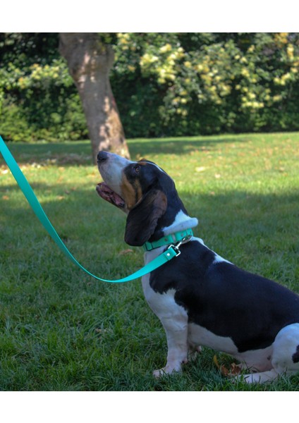Su Geçirmez Biothane Köpek Tasması