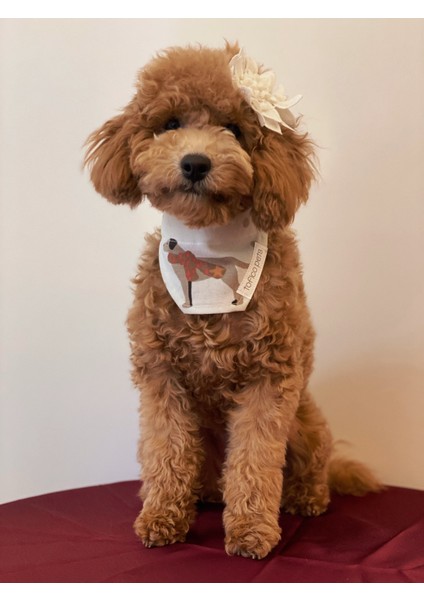 Köpek Desenli Bej Bandana