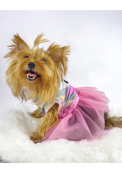 Pinky Minnie Tütülü Köpek Elbisesi, Kıyafeti Tutu
