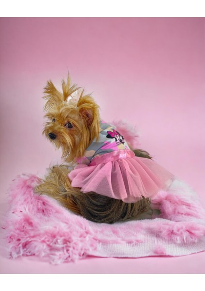 Pinky Minnie Tütülü Köpek Elbisesi, Kıyafeti Tutu