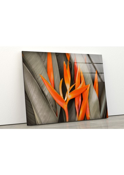 Portakal Yaprağı Temperli Cam Duvar Tablosu fiyatları