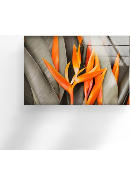 Portakal Yaprağı Temperli Cam Duvar Tablosu fırsatları