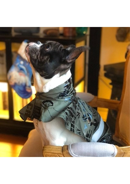 Haki Scifi Pancho Köpek Yağmurluğu