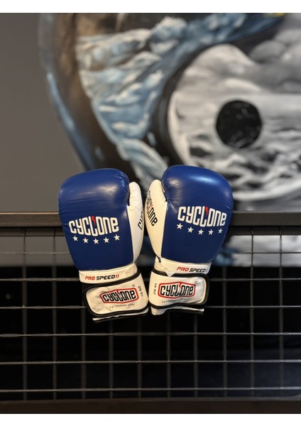 Cyclone Kickboks Eldiven