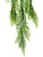Yapay Fujer Sarkıt 80 cm 2