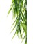 Yapay Grass Sarkıt 80 cm 2