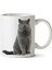 British Shorthair Kedi Iki Tarafı Baskılı Kupa Bardak 1