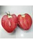 Kalp Domates Tohumu (10 Adet) (Sırık) 2