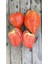 Kalp Domates Tohumu (10 Adet) (Sırık) 3