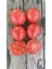 Pembe Zebra Domates Tohumu (20 Adet) (Yarı Sırık) 2