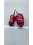 Biber Tohumu-1 ( 20 Adet) 2