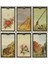N0HA Lenormand Oracle Kartları Ingilizce Sürüm Tarot 44-Kart Güverte Kehanet Kader Masa Oyunu Aile Partisi (Yurt Dışından) 4