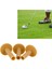 60MM Tarzı mm Kauçuk Sürüş Aralığı Golf Tees Tutucu Tee Evde Eğitim Uygulama Matı (Yurt Dışından) 2