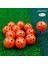Turuncu 50 Paket Stili Crestgolf Er Paket Boyutu Plastik Hava Akışı Golf Topları Turşu Topları Balle De Golf Pelotas Renkli Golf Ballen (Yurt Dışından) 1
