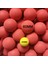6cm Softball 2 Adet Stili 60MM Büyük Golf Topları Pet Oyuncaklar Köpük Getirme Topları Yumuşak Etkileşimli Kedi Köpek Çiğneme Topları Eva Topu Toksik Olmayan Eğitim Ack 9gpcs (Yurt Dışından) 5