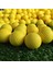 Pembe Tarzı 2pcs Useful Golf Practice Balls Solid Color Golf Light Balls Smooth Impact Resistant Portable Solid Golf Ball (Yurt Dışından) 5
