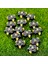 Tpr Golf Ayakkabı Sivri Yedek Kelepçe Cleat Hızlı Döndürme Vidalı Saplamalar Stinger Golf Aksesuarları Golf Eğitim Yardımcıları (Yurt Dışından) 1
